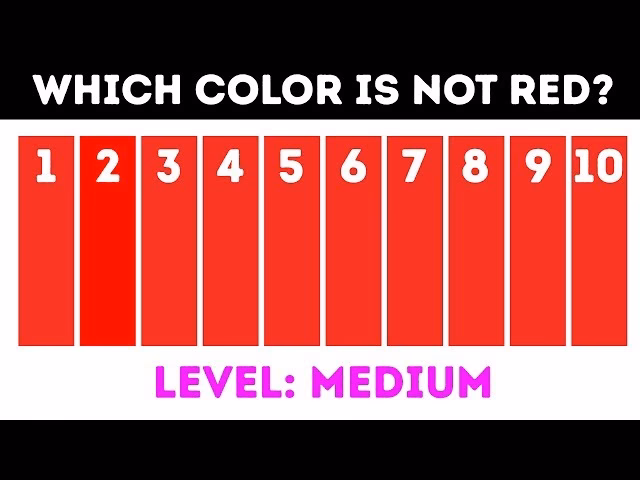 What is eyesight challenge game?