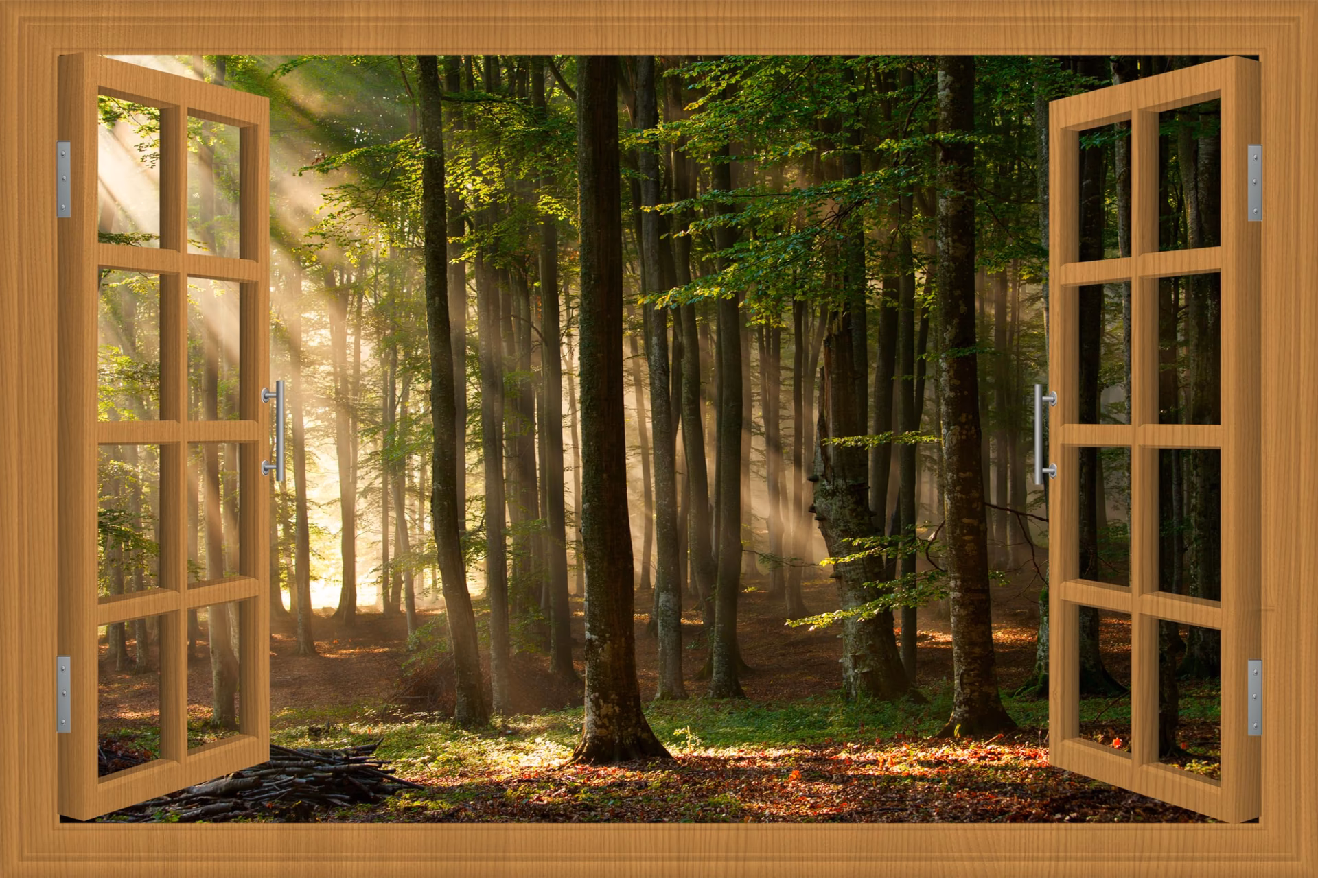 What are the different types of fake windows?
