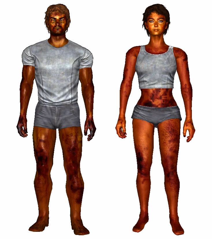 How to see front of body in Fallout New Vegas?