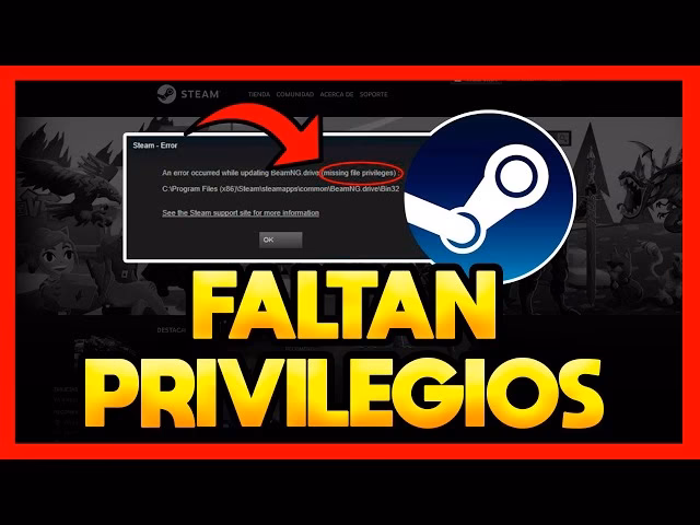 ¿Cómo eliminar los privilegios de archivos de Steam?