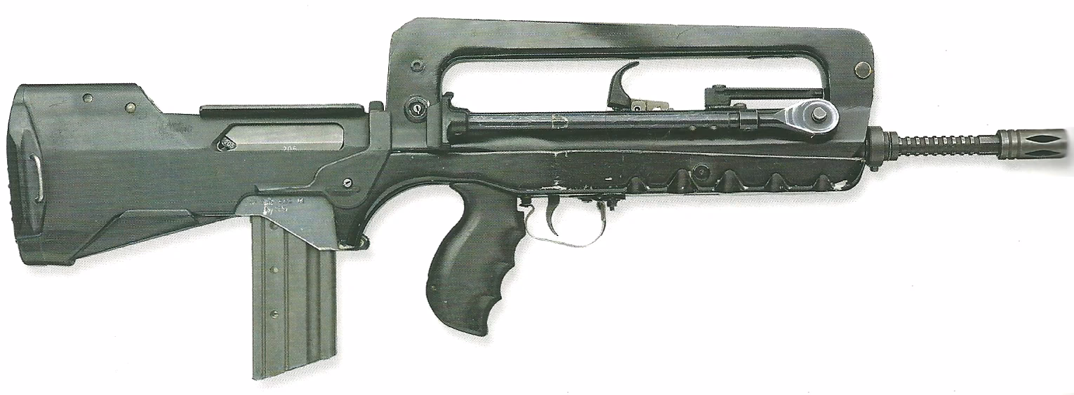 ¿Cuáles son las características de los famas?