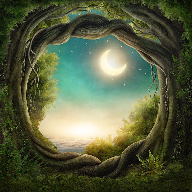 ¿Qué es Fantasy Forest y para qué sirve?