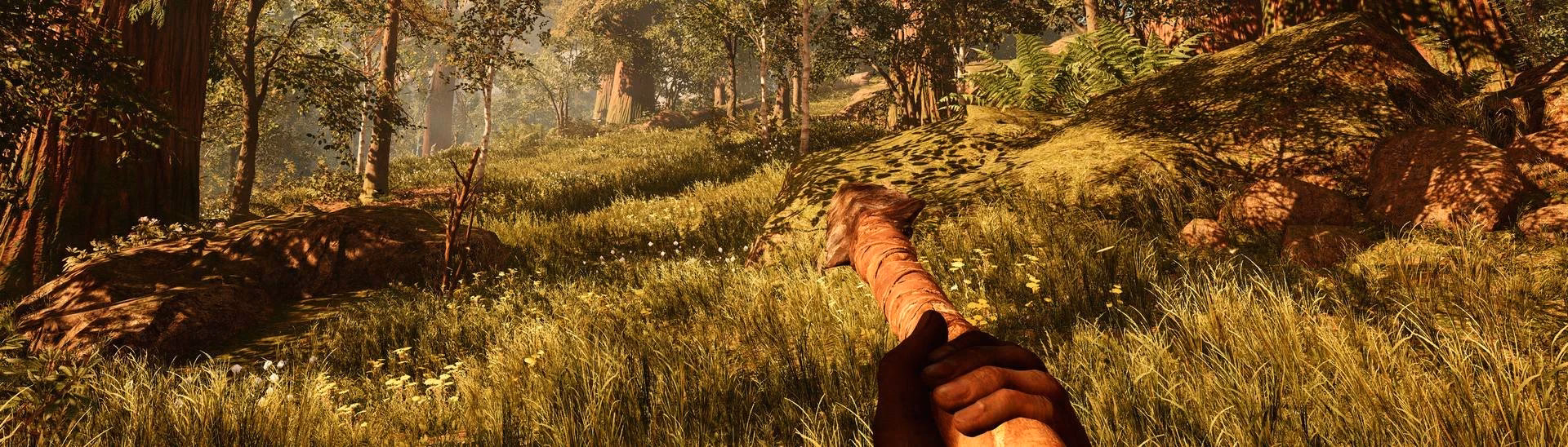 Does far Cry Primal have a reshade?