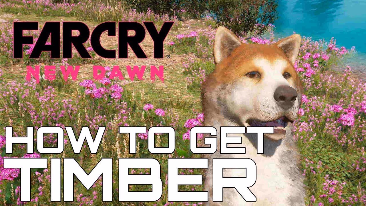 Who is timber in Far Cry New Dawn?