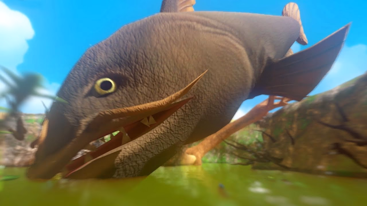 What happened to feed and grow fish?