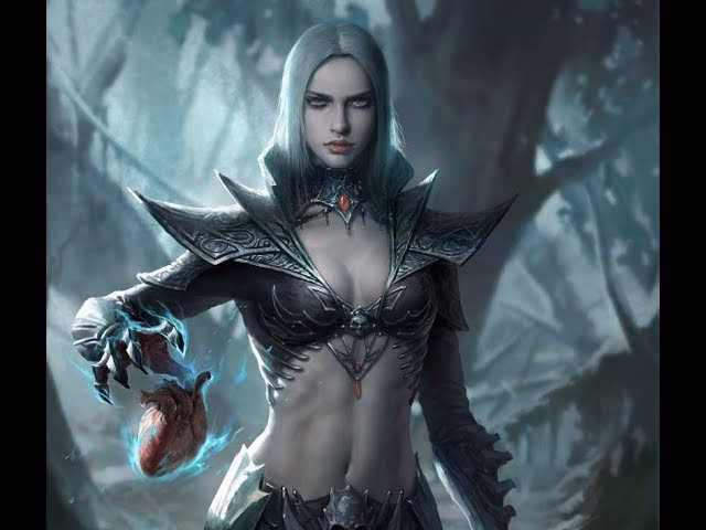 Will Diablo 3 have a female Necromancer?