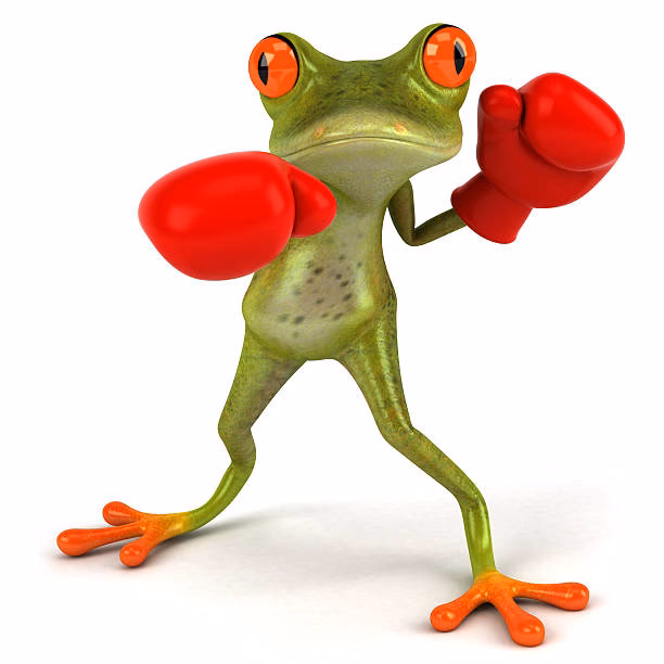 What is a fighting frog?