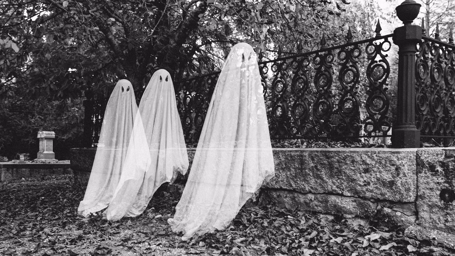 Is there a scientific way to confirm the existence of ghosts?