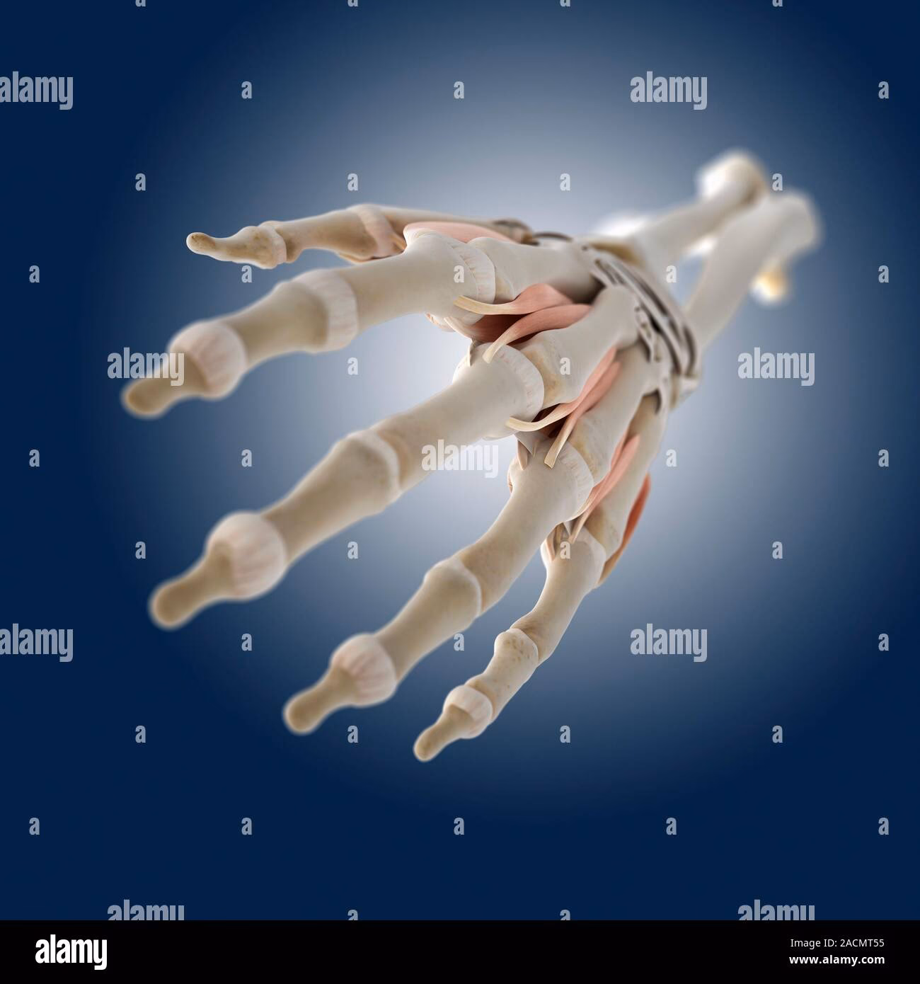 How do I skip to the end of fingerbones?