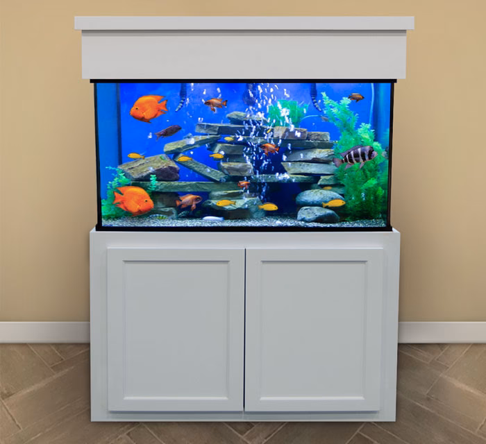What does fish stand for?