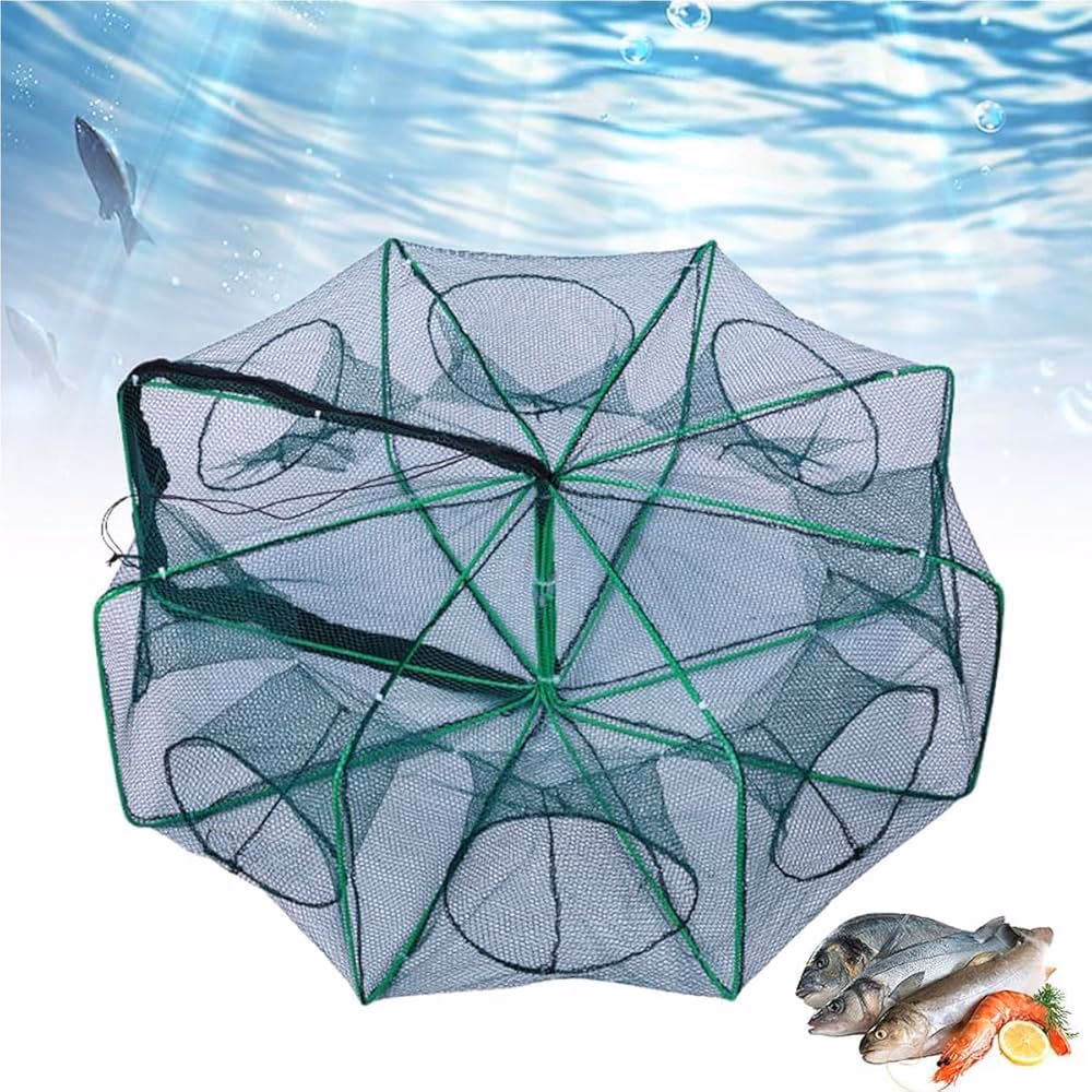 What is a fish trap?