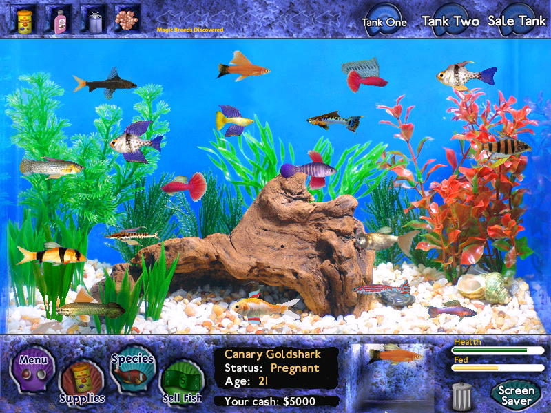 What is Fish Tycoon?