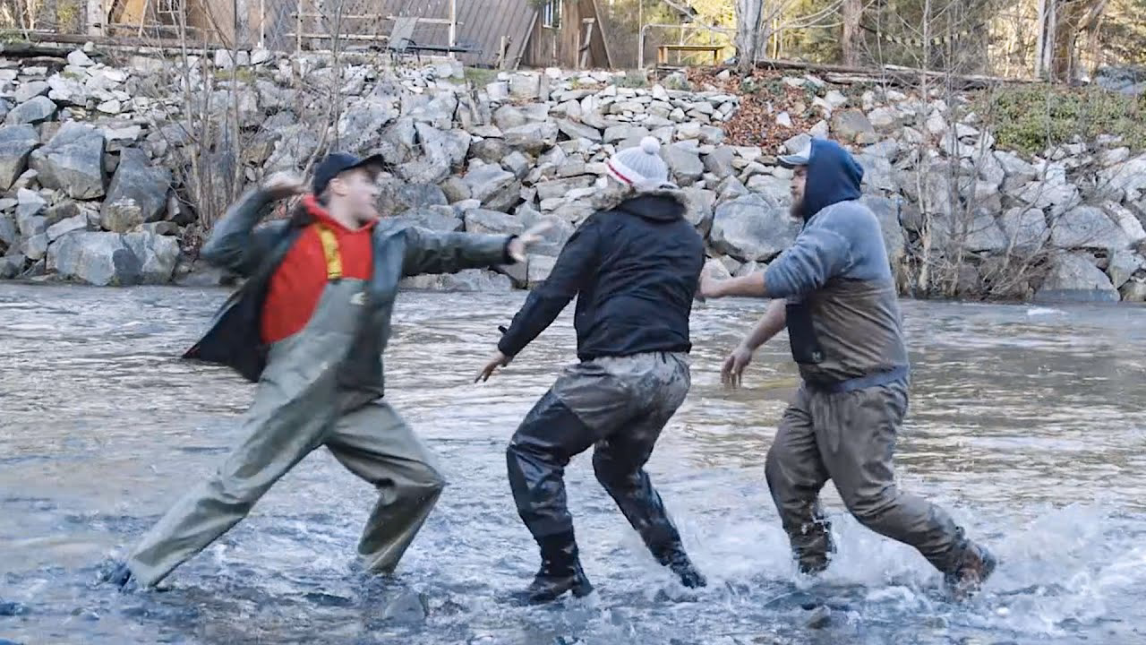 How do you prevent fish from fighting?
