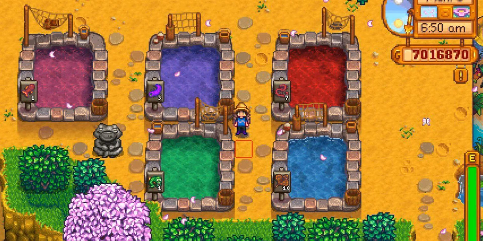 How do fish ponds work in Stardew Valley?