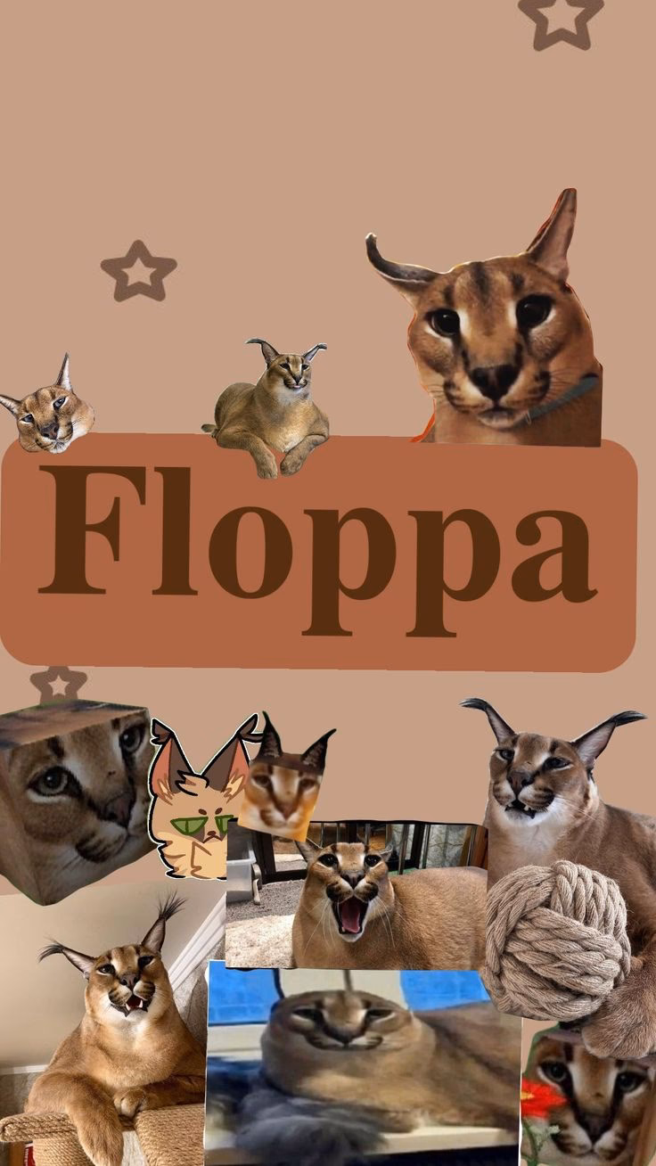 How many big floppa wallpapers are there?