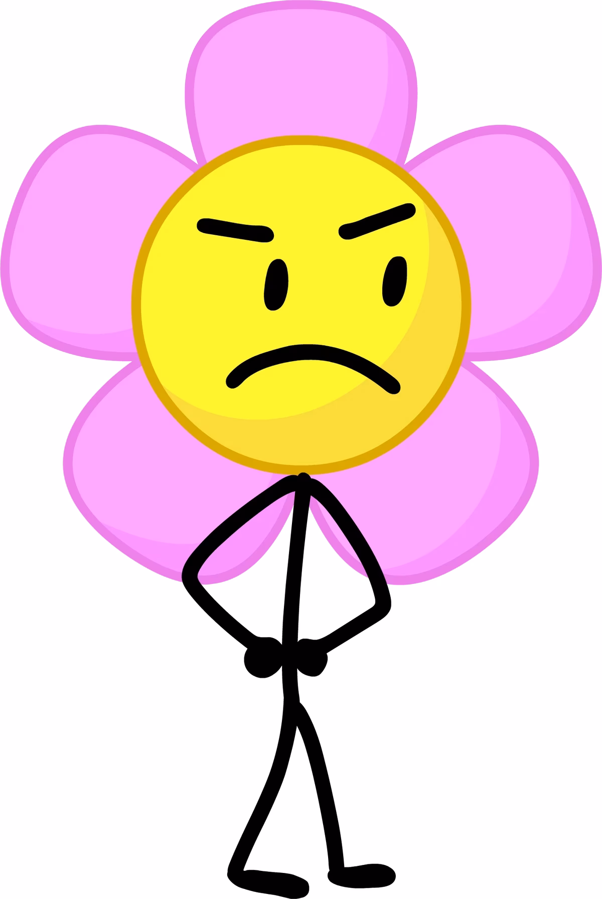 What is the BfDI flower asset?