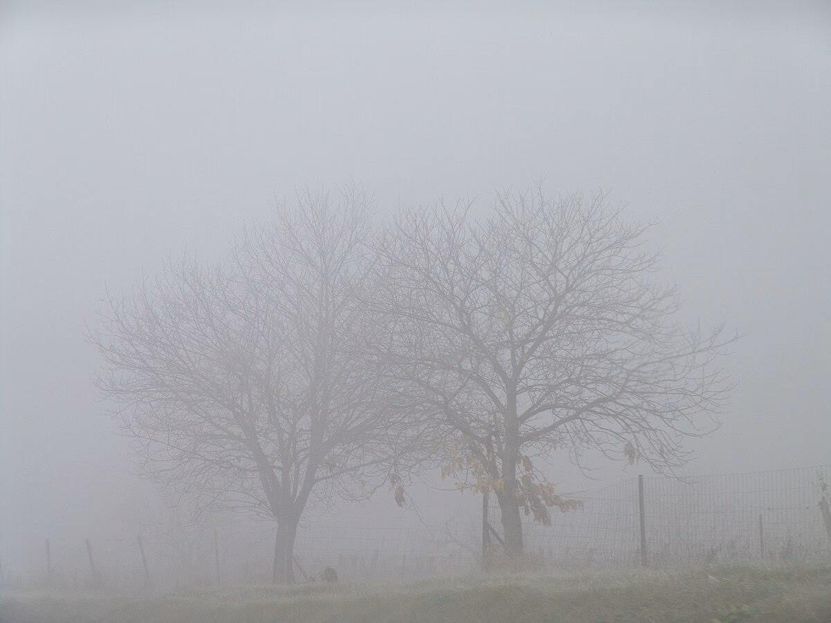 ¿Qué es el Fog y cómo funciona?