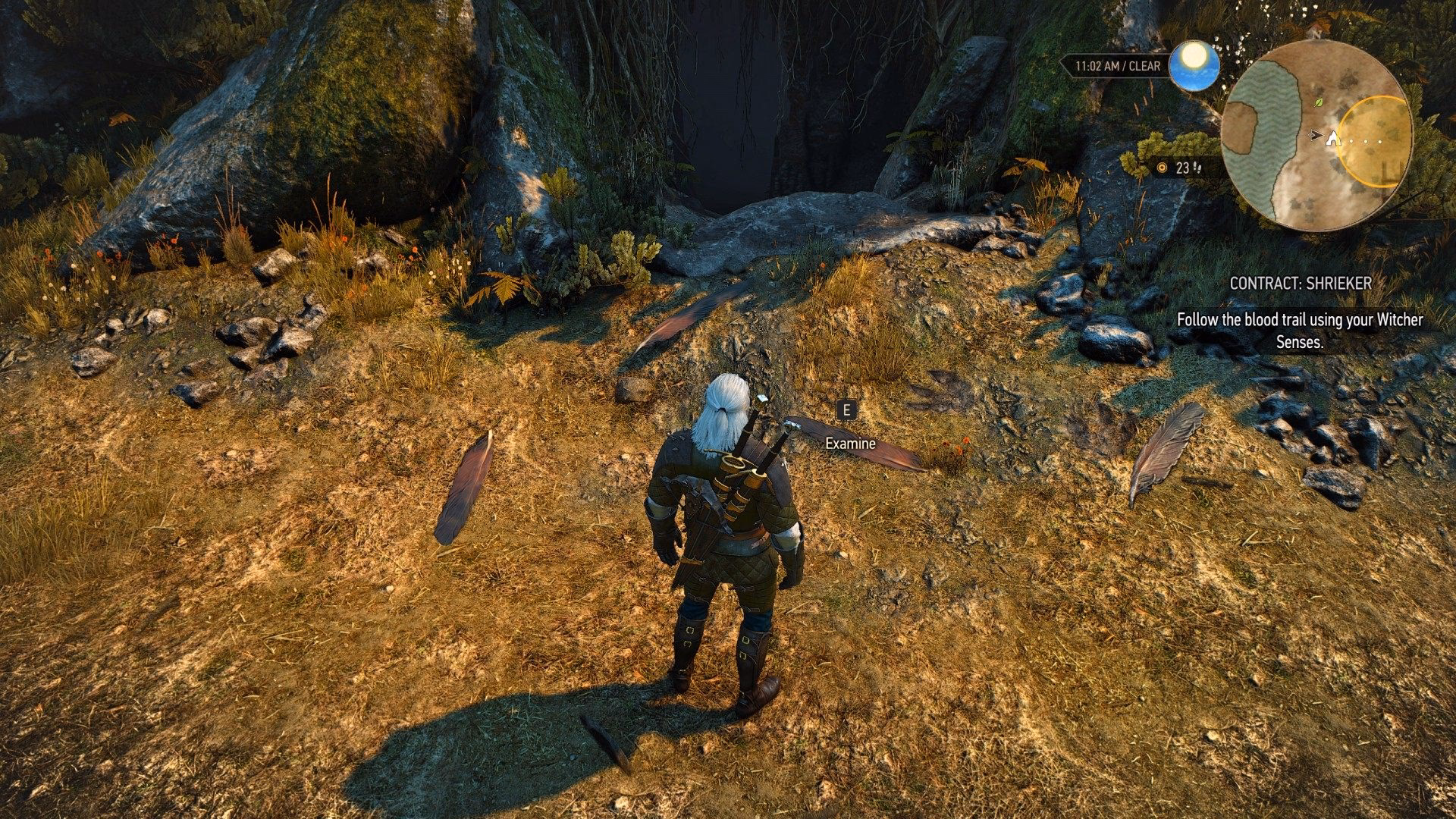 How do I follow a blood trail in Witcher Senses?