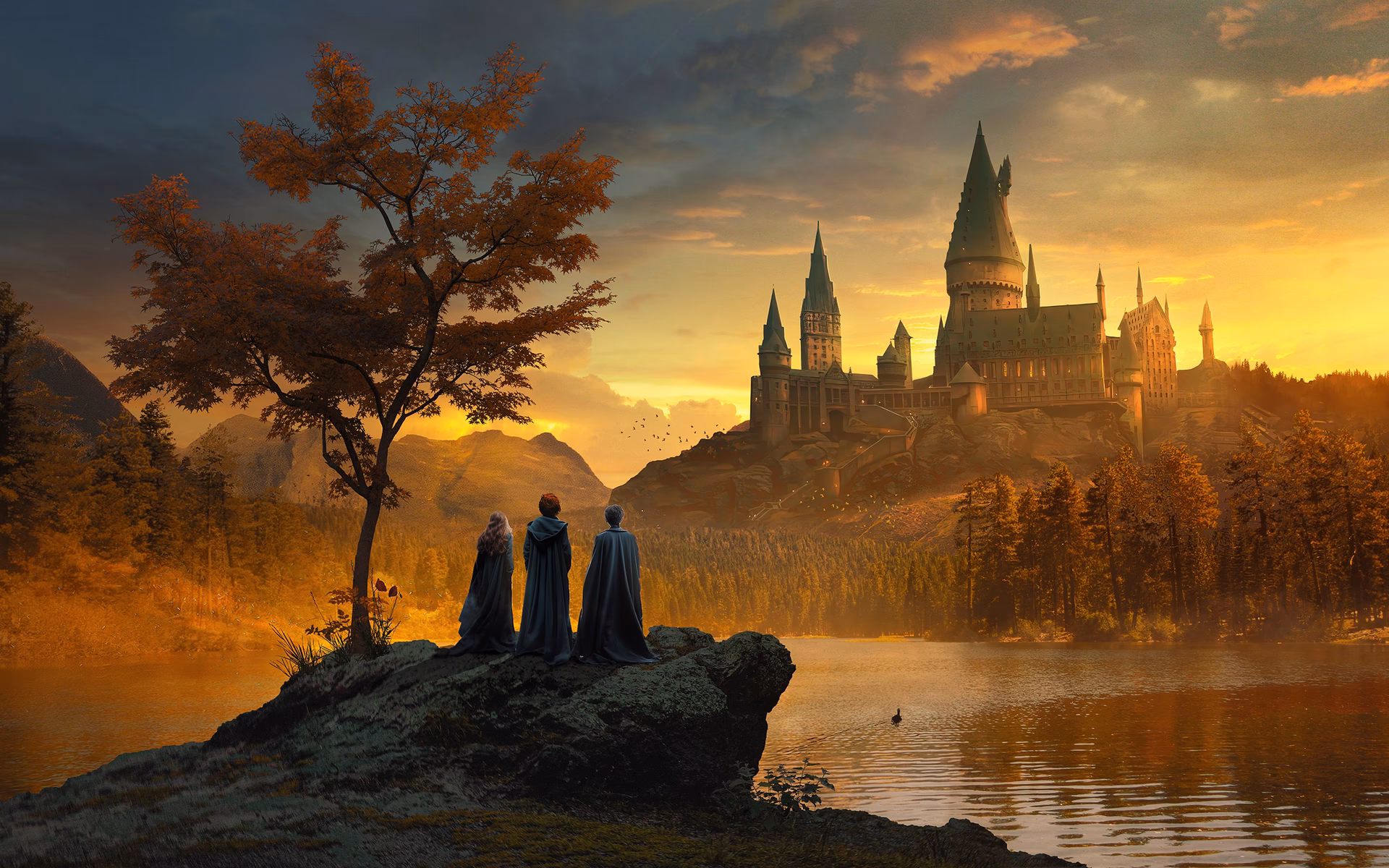 ¿Qué son los fondos de pantalla de Harry Potter?