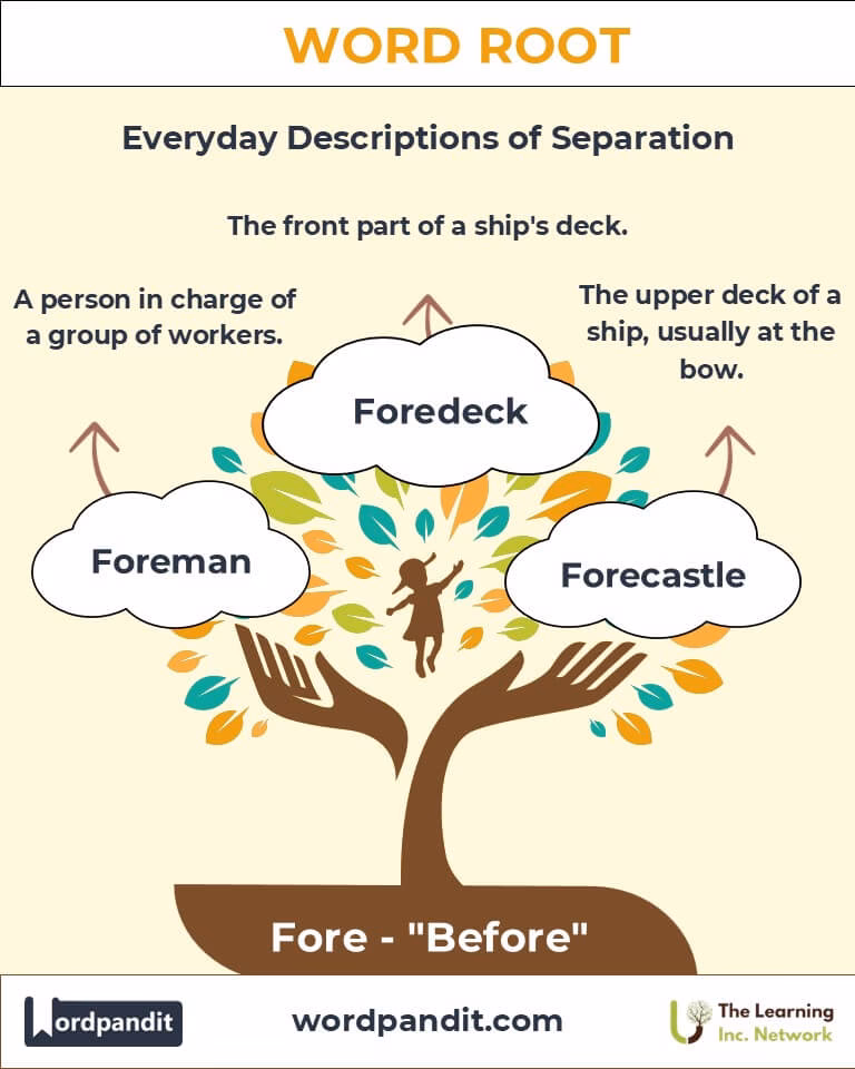 What does come to the fore mean?