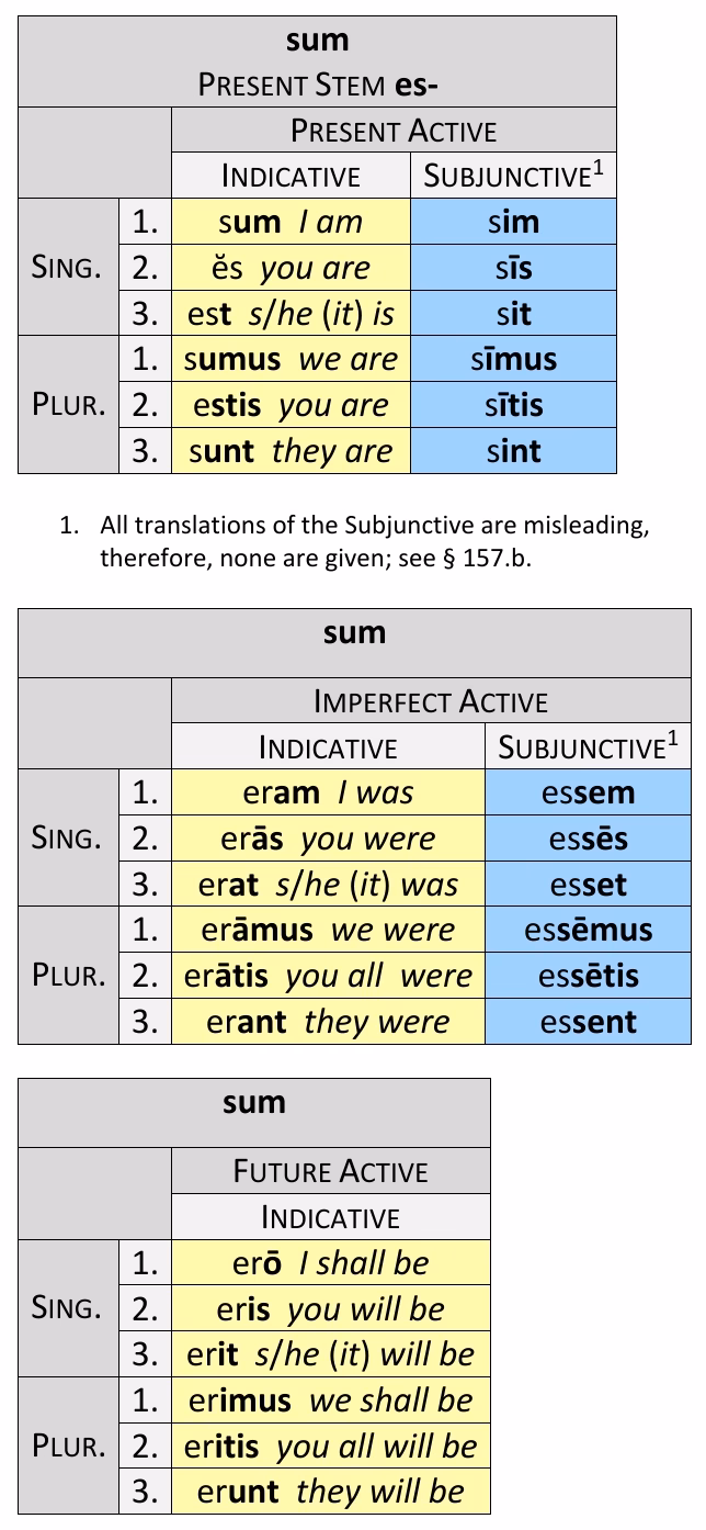 Where does the word 'fore' come from?