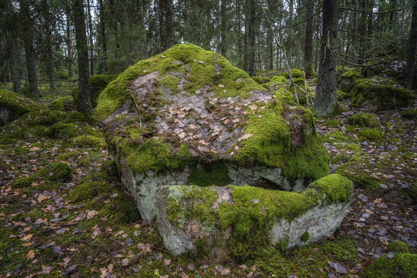 What color is a Charnley Forest stone?