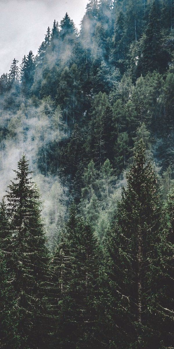 How does the twilight forest mod work?