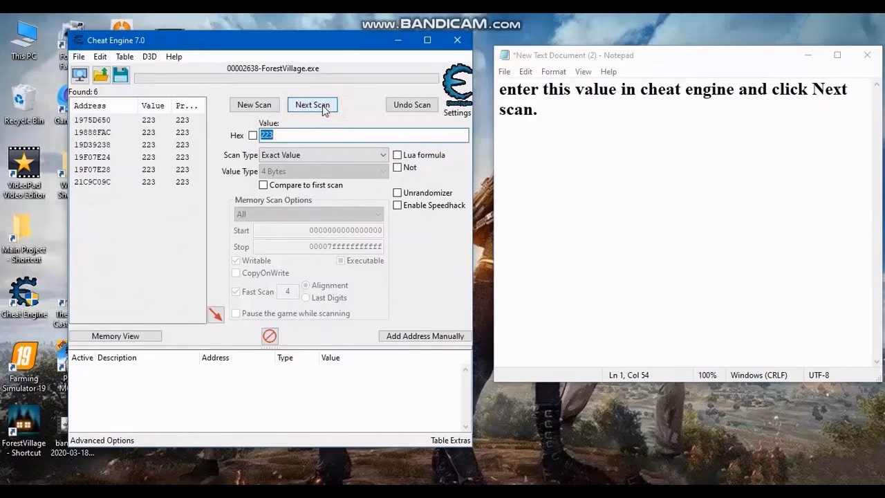 Are there cheats in the forest?