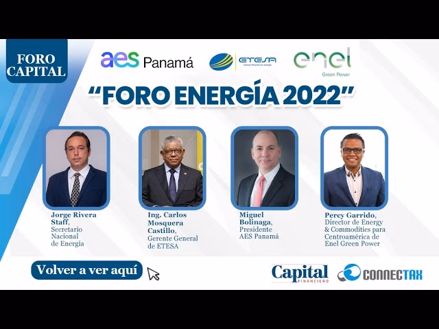 ¿Qué opciones de pago ofrece Enel?