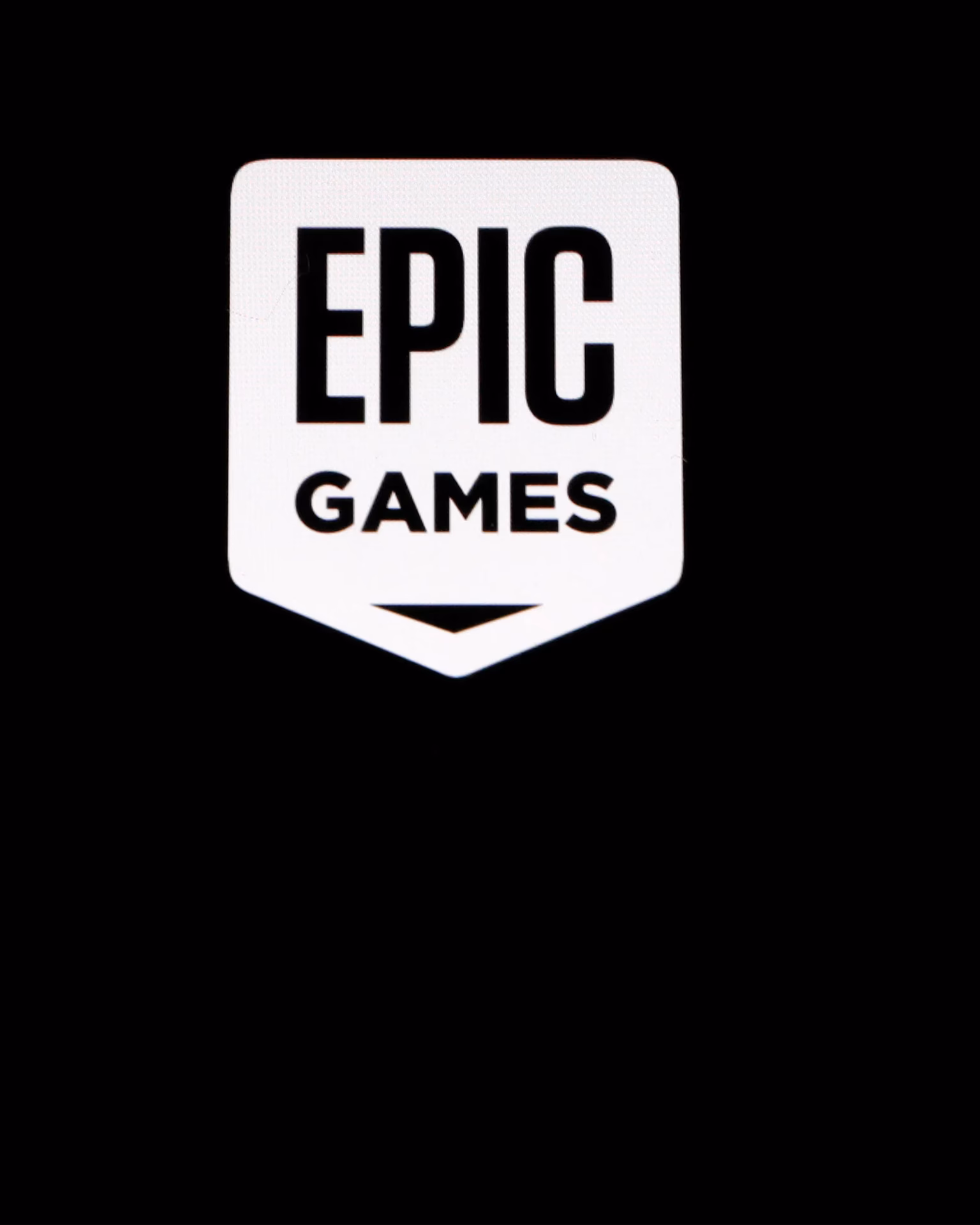 What format is Fortnite logo?
