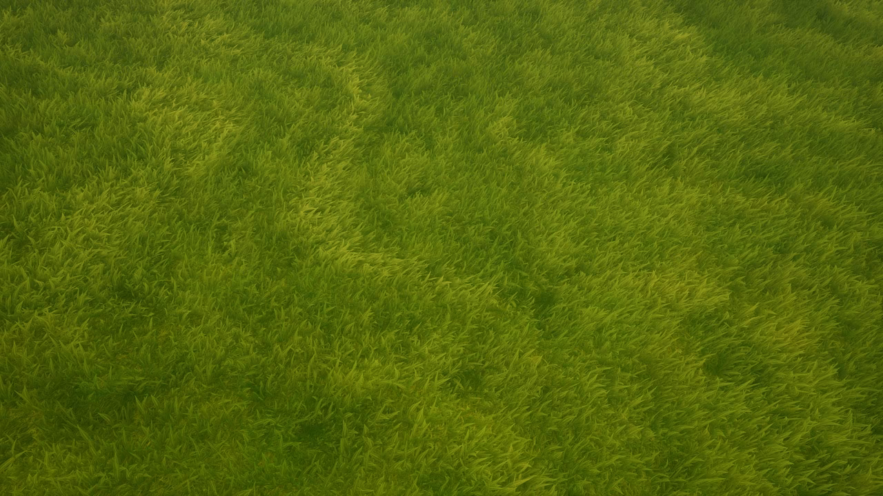 Where can I find tall grass in Fortnite?