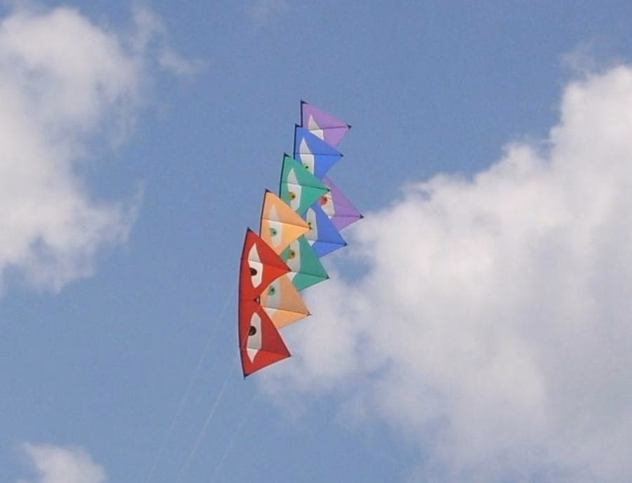 Où trouver des articles de kitesurf en ligne ?