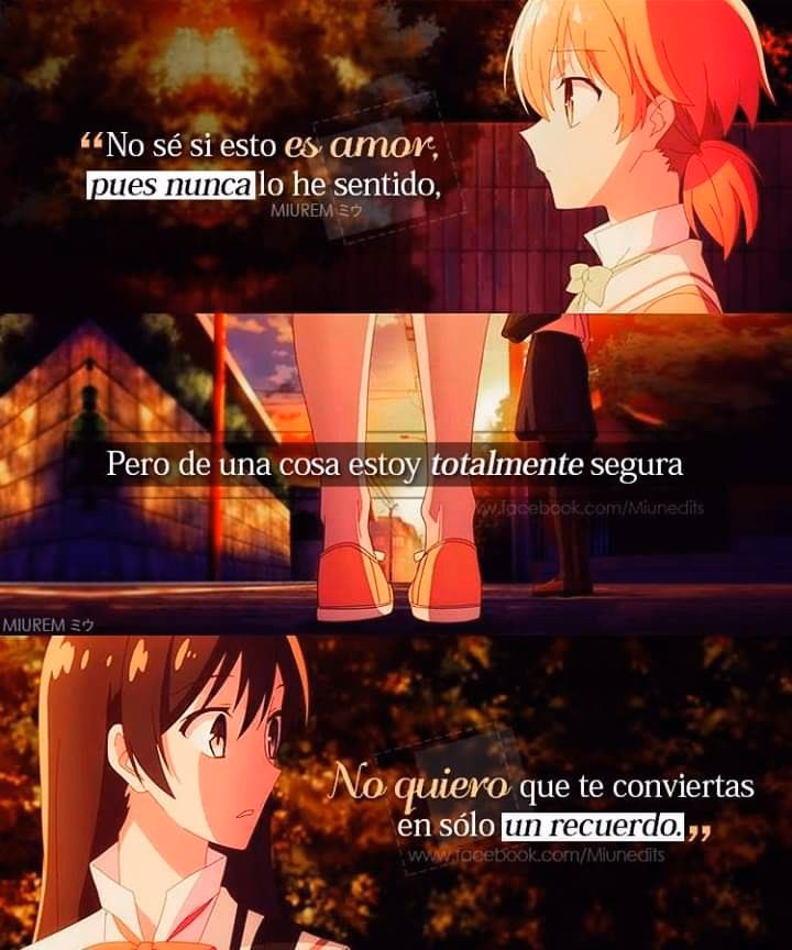 ¿Cuáles son las palabras de Yuri?