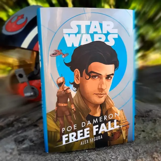 What is the Poe program?