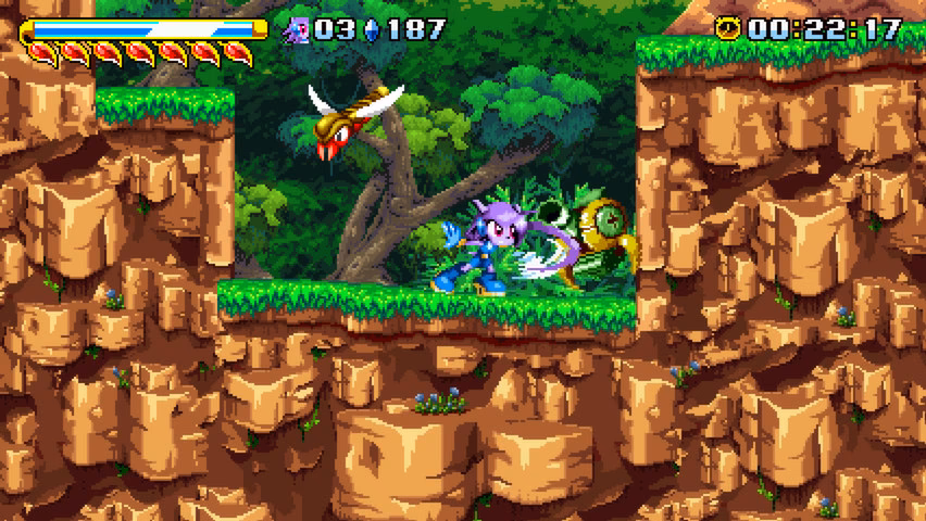 Is Freedom Planet a 2D game?