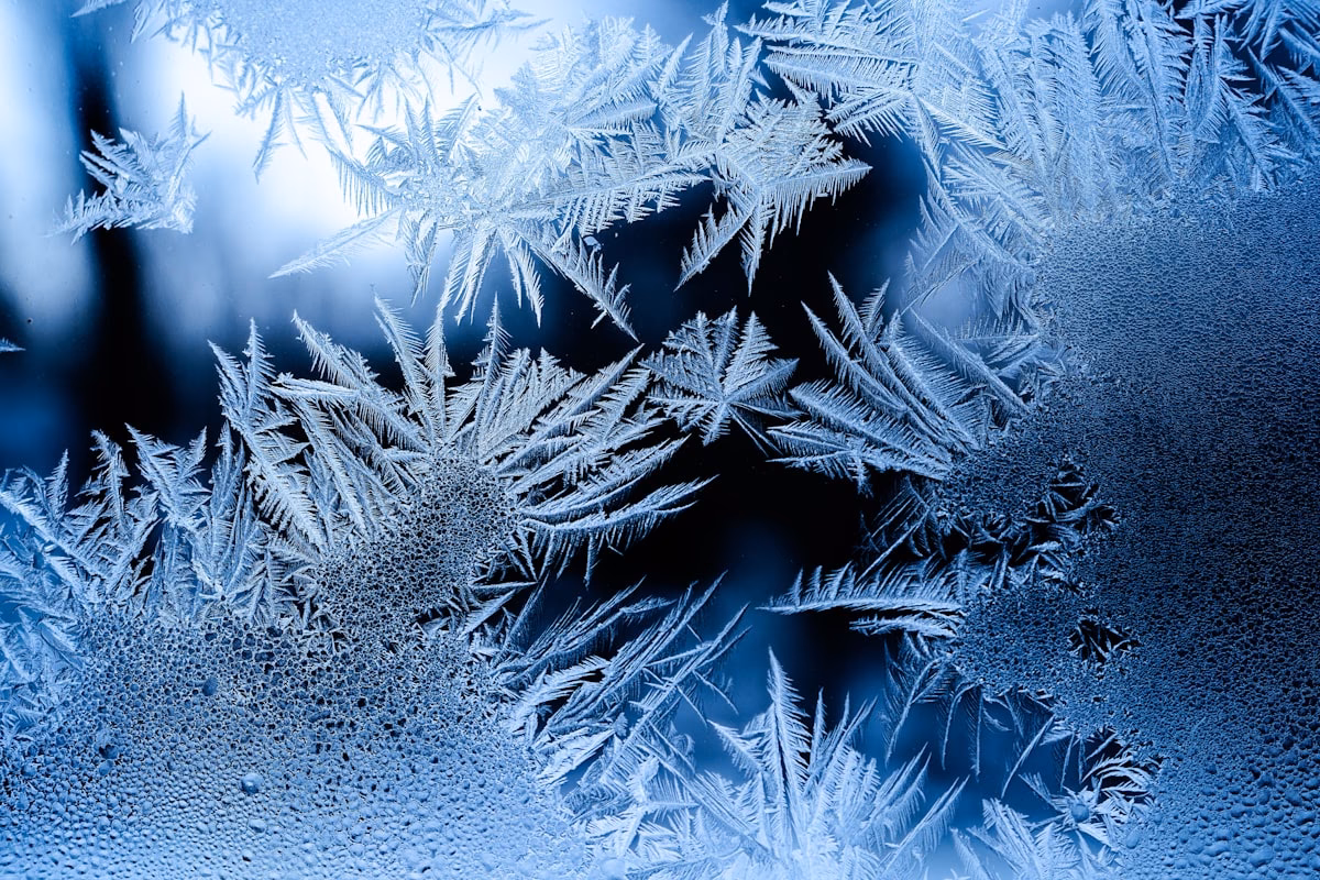What is the past tense of frozen?