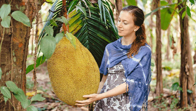 ¿Cuáles son las frutas tropicales más consumidas?