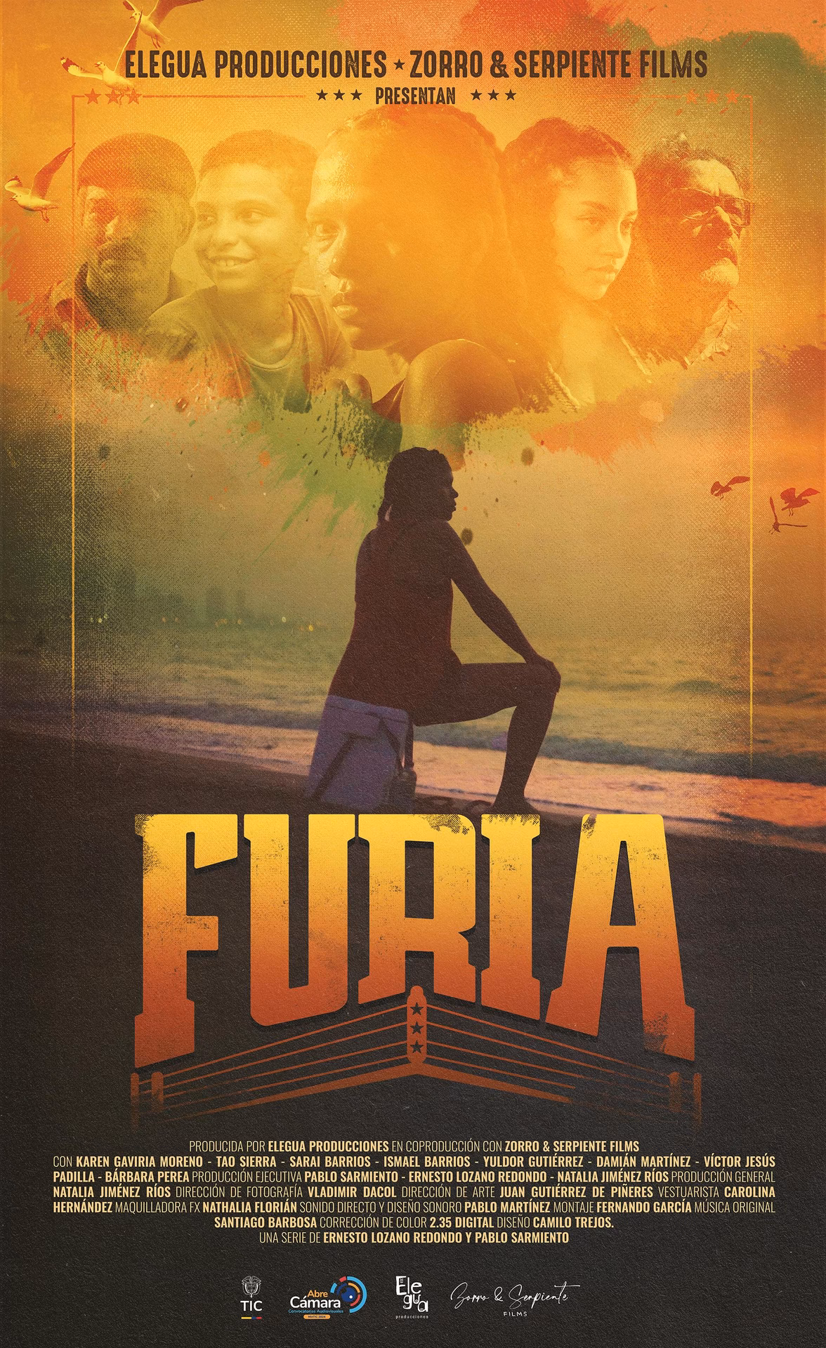 What does Furia mean?