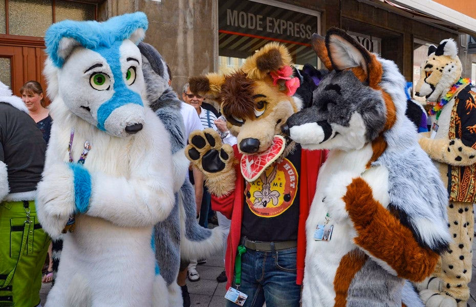 ¿Qué son los Furros y cuáles son sus características?