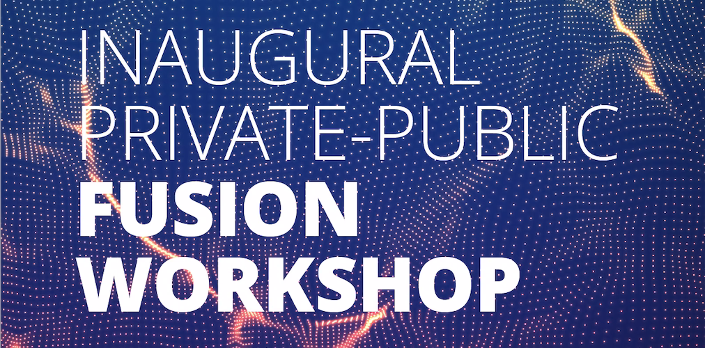 When is fusion workshop 2024?