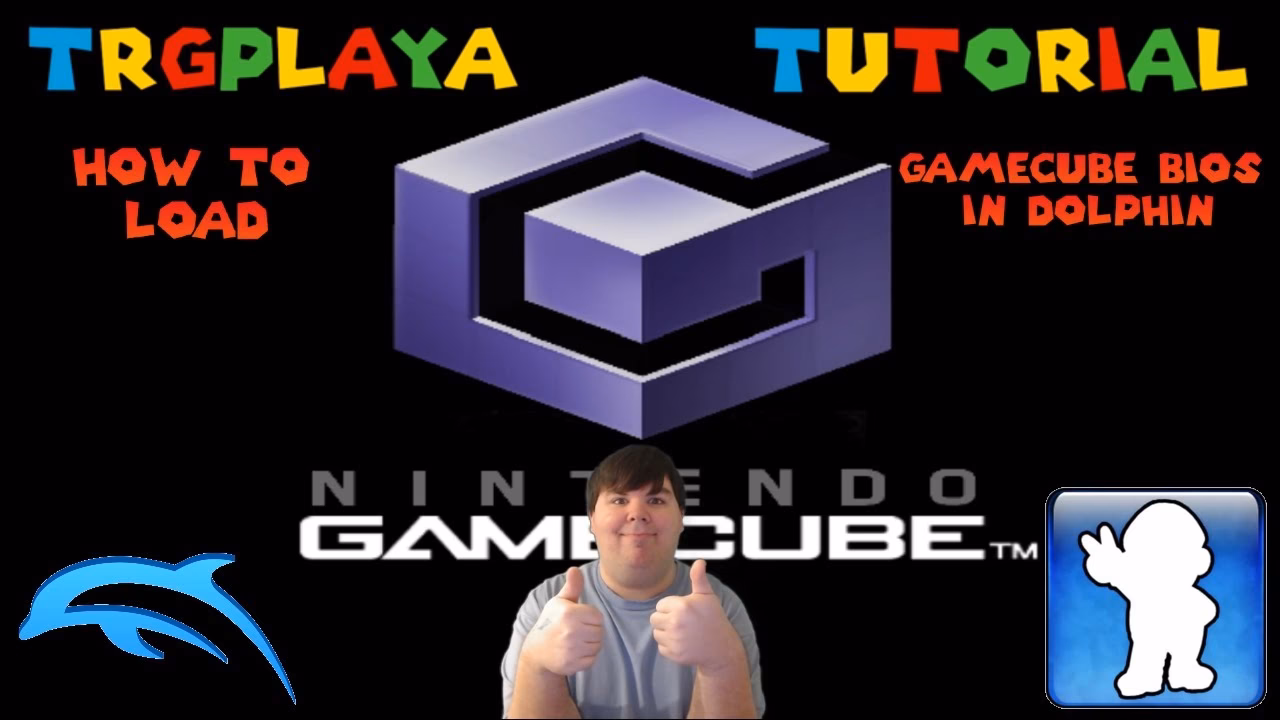 What files are included in the GameCube BIOS & DSP files?