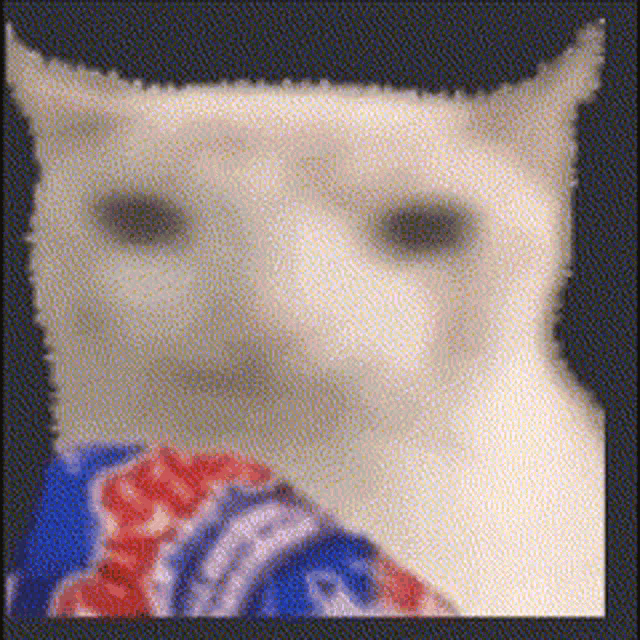 ¿Cuáles son las dimensiones del GIF animado comida Gata gatito?