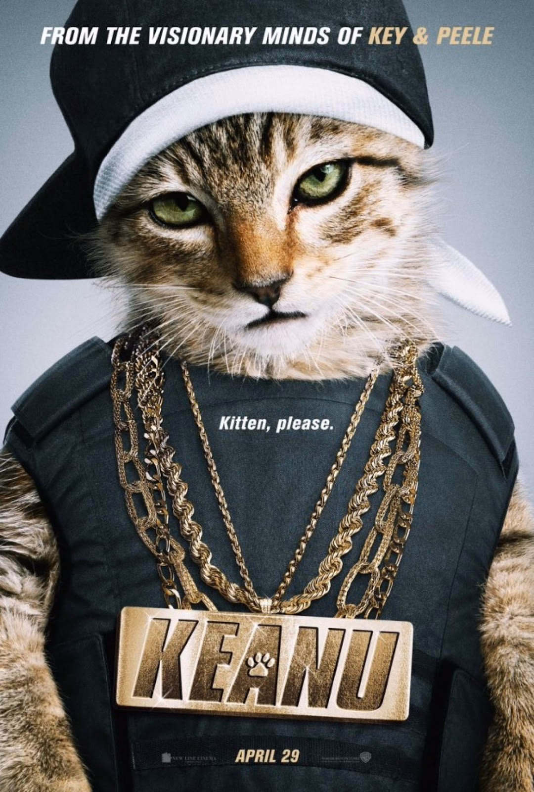 ¿Qué le gusta a un gato?