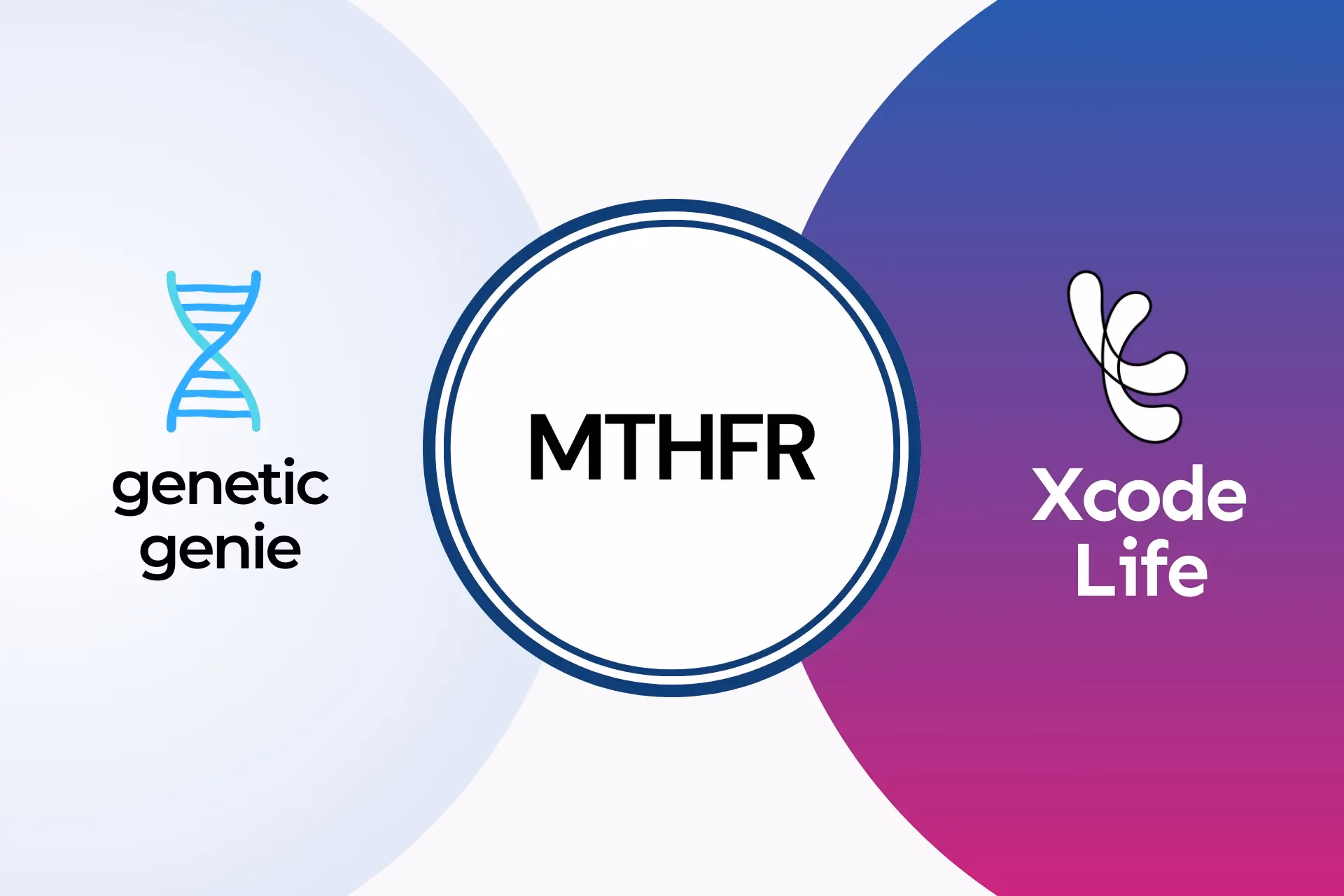 What is genvue discovery by genetic Genie?