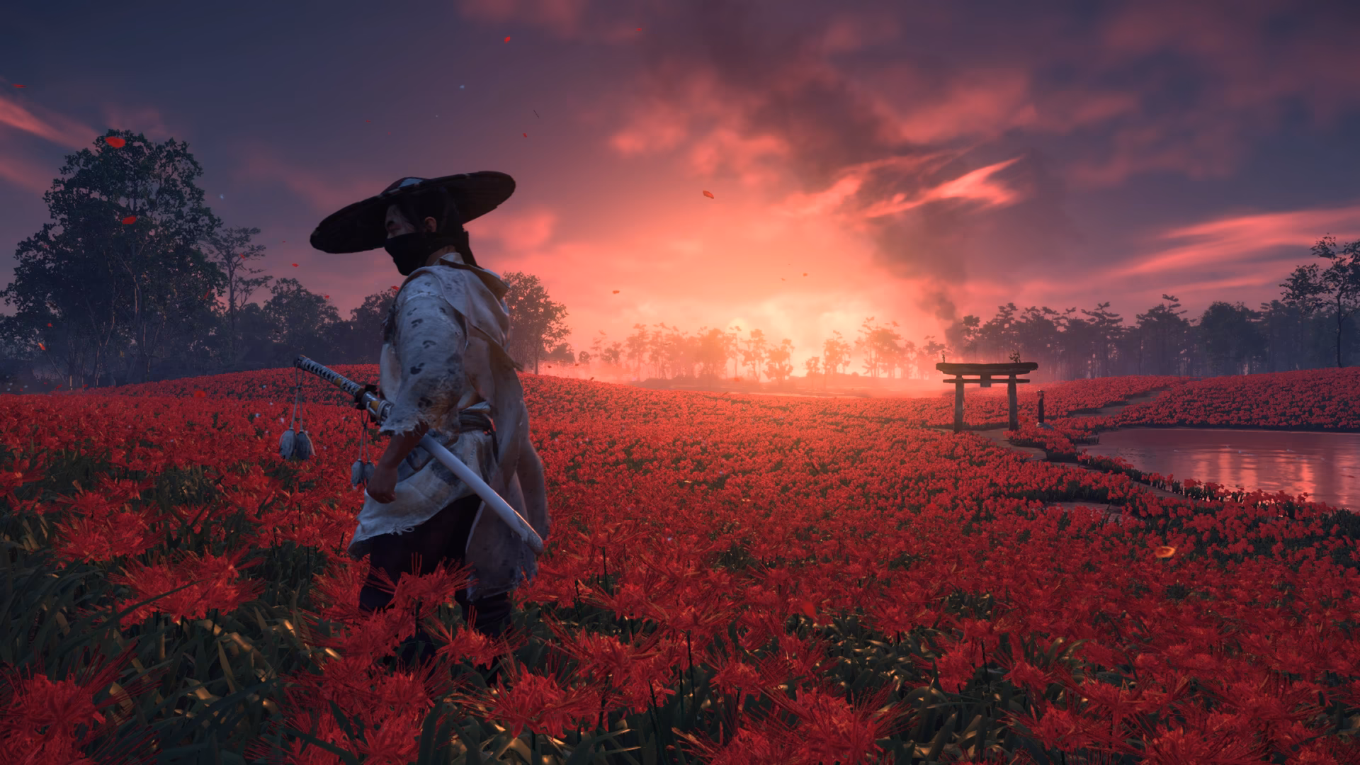 How many ghost of Tsushima 4K wallpapers are there?