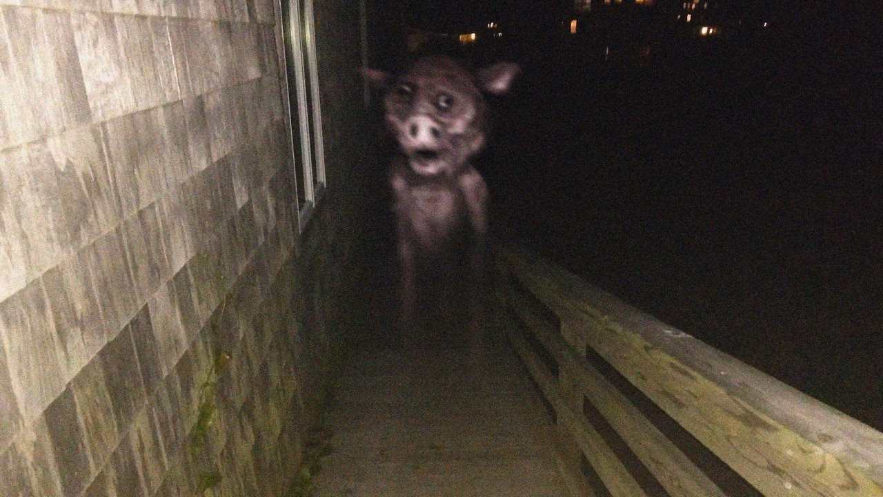 Can you get a ghost pig mask on Steam?