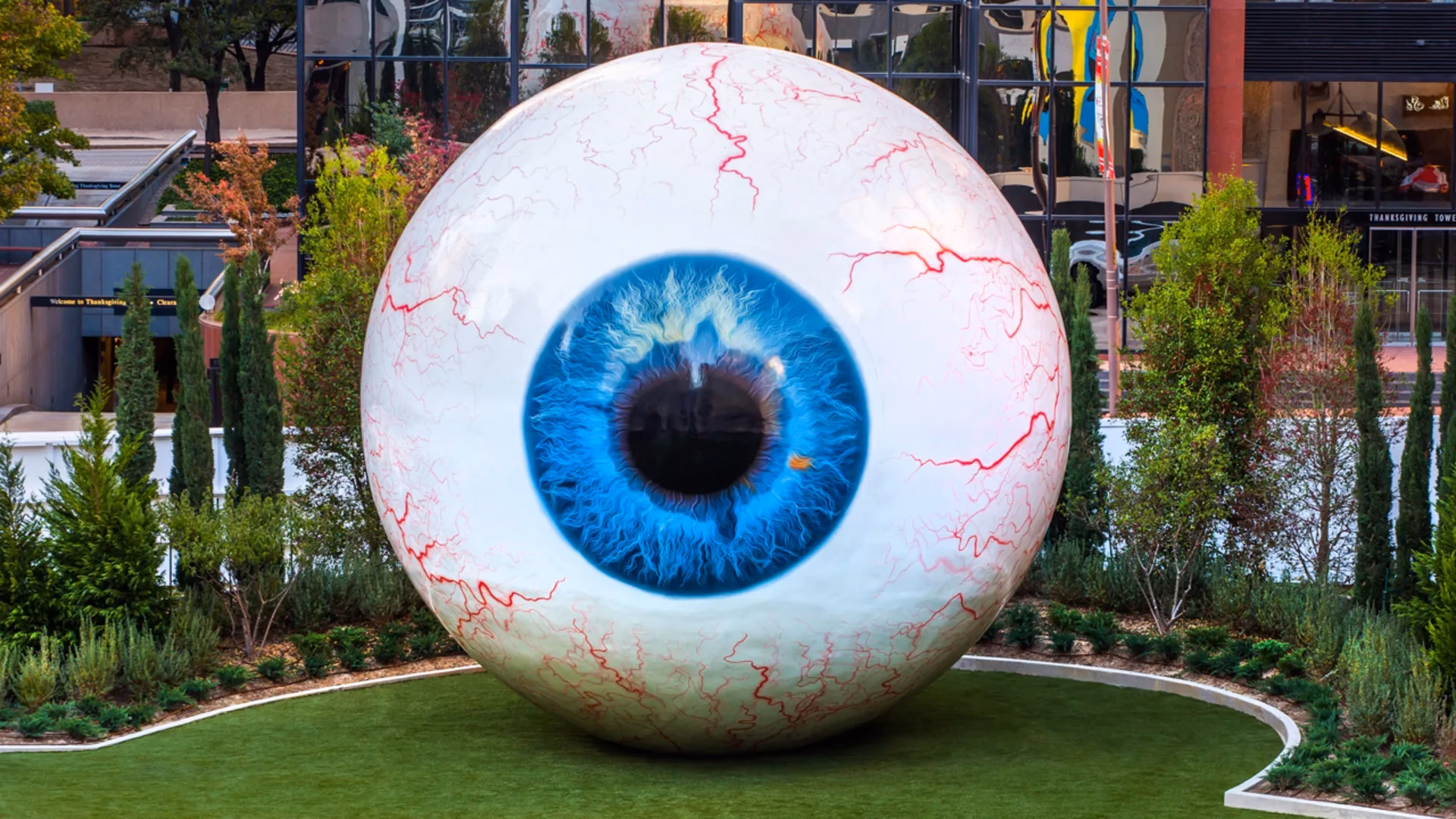 Is this a giant human eye?