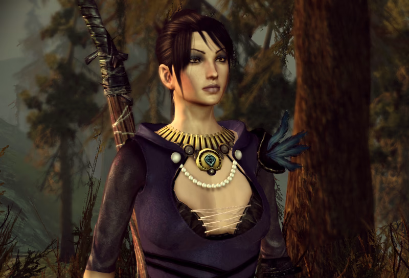 Where can I find a chest in Dragon Age Origins?