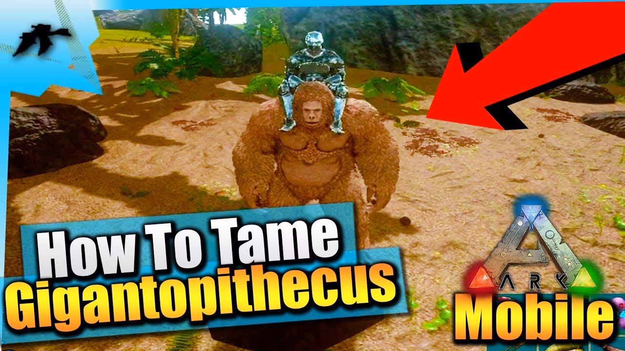 Do Gigantopithecus need a saddle?