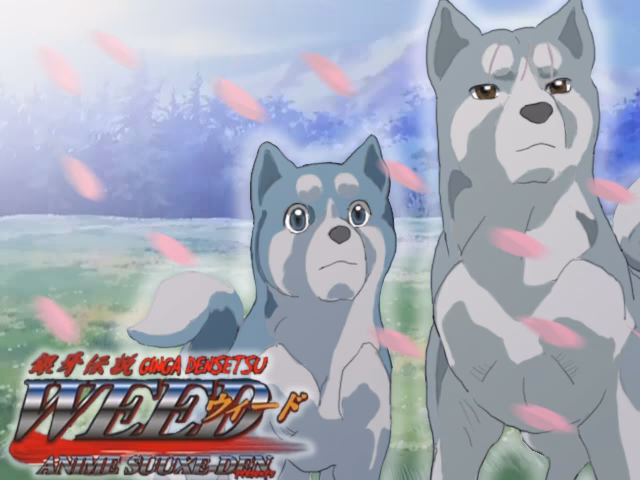 What is Ginga Densetsu Weed?